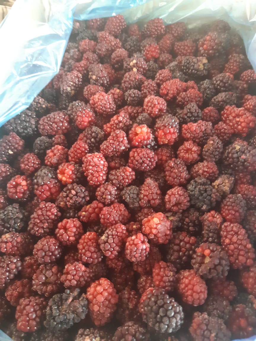 Ежевика св/м 2,5кг 1/4 Сербия